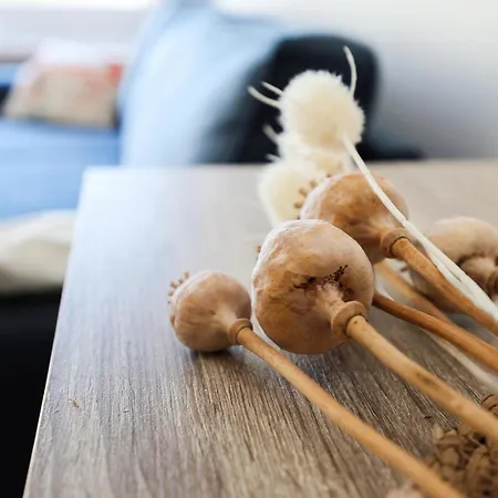 Awesome In With Wifi Appartement Oostende