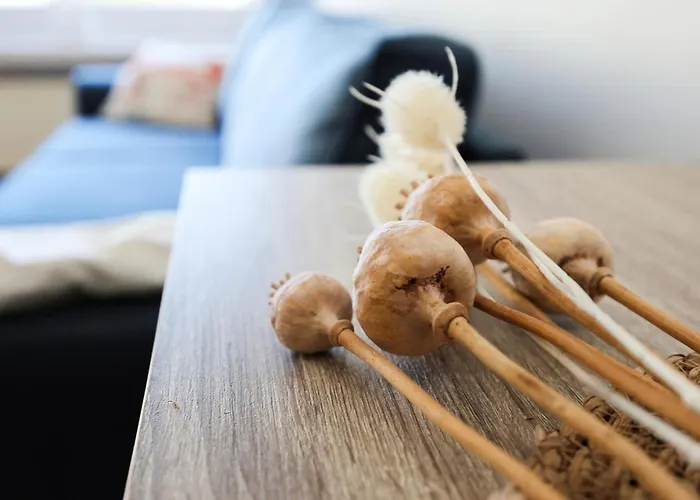 Awesome In With Wifi Appartement Oostende