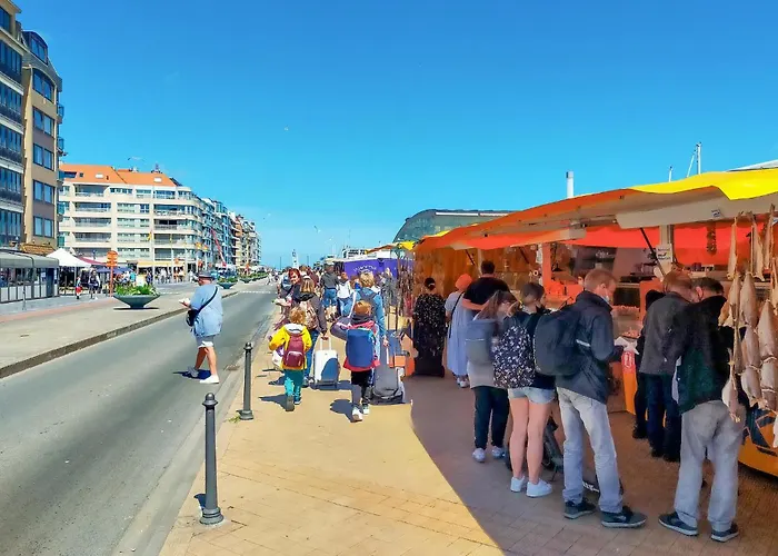 Awesome In With Wifi 公寓 奥斯滕德